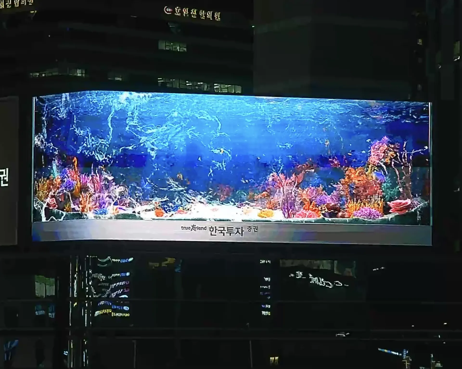 전광판 임대 시공 참고 - 부산 서면 코너형 LED전광판 야간 3D 수족관 영상 송출